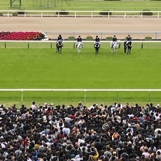 競馬仲間募集 - その他