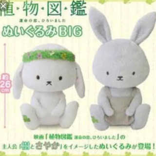 植物図鑑 ぬいぐるみ