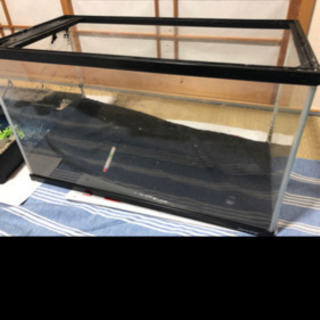 60センチ水槽 セットの画像
