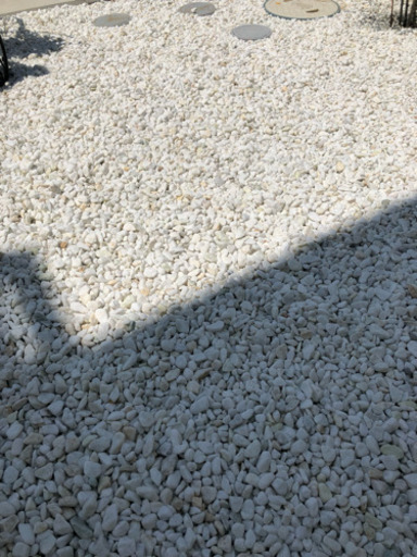 追加募集！白砂利（訳あり）