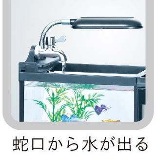 ファニティ（fanity)【多機能ミニミニ水槽】 ピンク 【新品】の画像