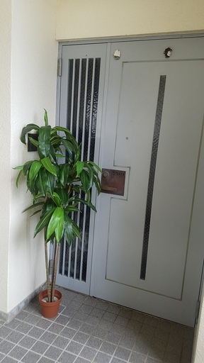 中古人工観葉植物 　1.5m　大型 インテリア