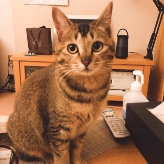 優しいねねちゃん