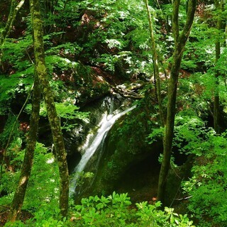登山仲間募集　関東しゃくなげ会　 - 江戸川区