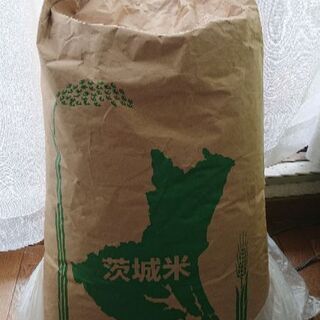 茨城県産 コシヒカリ もみ殻