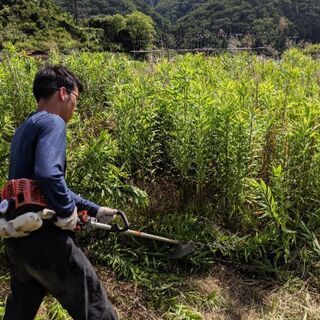 近所迷惑な雑草！？【草刈り】