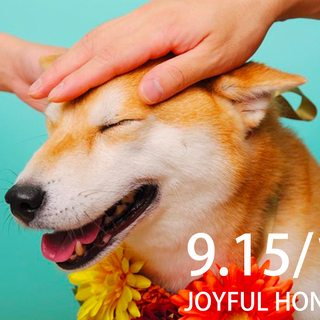 ジョイフル本田-瑞穂店 9月15日/16日（日・月祝）ペット撮影会 - 西多摩郡