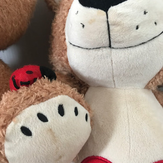 ✳️スージーズー🐻の画像