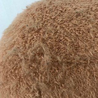 ✳️スージーズー🐻の画像