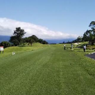 気楽に楽しむゴルフ仲間を募集します🏌️⛳️🏌️