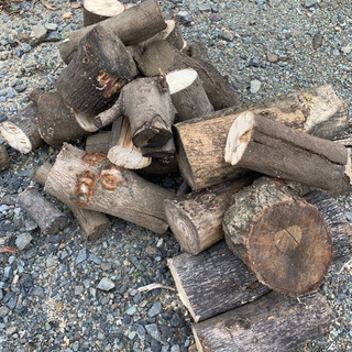 【今月限り無料】薪・原木・玉木の画像