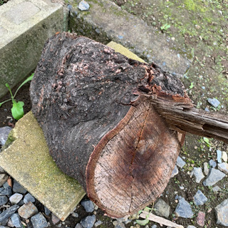 【今月限り無料】薪・原木・玉木の画像