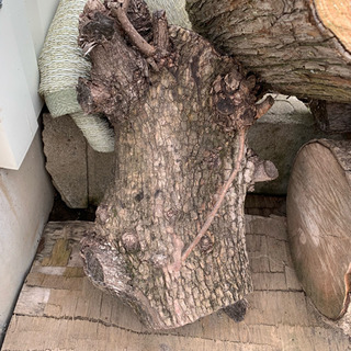 【今月限り無料】薪・原木・玉木の画像