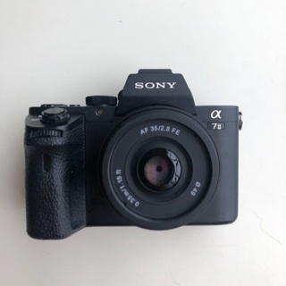 ソニー(海外仕様) a7ii 