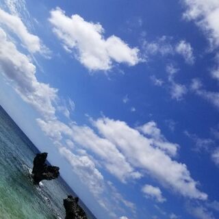 結婚相談所全額無料の会員様1名募集！！　7月15日まで！