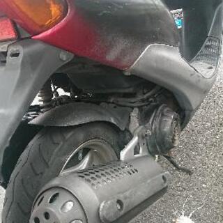 ホンダ ライブ ディオ 56kmの画像