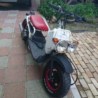 ホンダ ズーマー 50cc カスタム 山形県からの画像