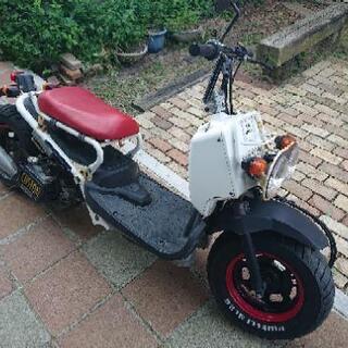 ホンダ ズーマー 50cc カスタム 山形県からの画像