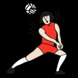 世田谷区で9人制バレーボール🏐しませんか～⁉️