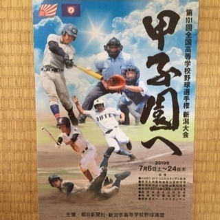 第101回全国高等学校野球選手権 新潟大会 (値下げしました)