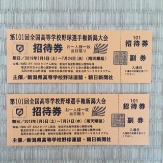 第101回全国高等学校野球選手権 新潟大会 (値下げしました)の画像