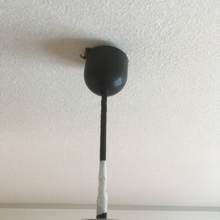 照明具の画像