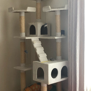キャットタワー(中古)