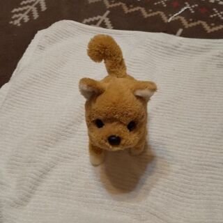 柴犬のぬいぐるみ値下げしました