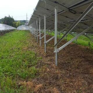 草刈り、除草剤、剪定、消毒等