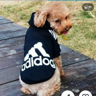 犬用の洋服の画像