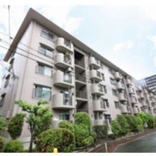 ★泉北鴨谷　台第一次住宅壱八号棟・107家具・小物・レースカーテ...