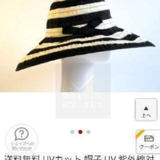 【私も参加する流れになりましたっ🐤】2期募集🐢🐢仲間募集致します～！！ − 長崎県