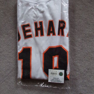  Ｔシャツ　新素材・吸汗速乾　　読売ジャイアンツ  のオリジナル...