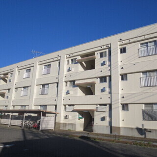 ペット可★3LDK★保証人不要★和戸駅・杉戸高野台駅★仲介手数料ゼロ★敷金／礼金0円★家賃5.4万円+共益費5千円★日本工業大学2km★防犯カメラ／電子錠★鍵交換費用無料★光インターネット無料★エアコン付（1台）★新品ガスコンロ付／追焚き機能付／新品洗面台・給湯器★トランクルーム3帖付★新生活応援キャンペーン中の画像