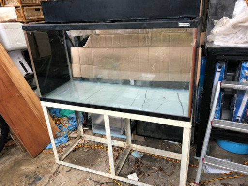大型ガラス水槽