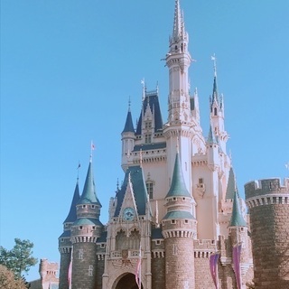 ディズニーランチ会