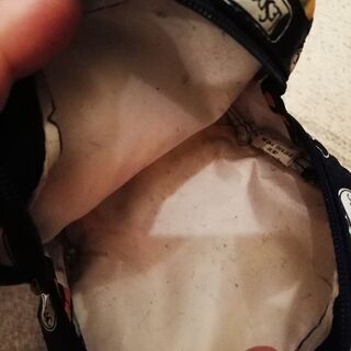 レスポートサックのポーチの画像