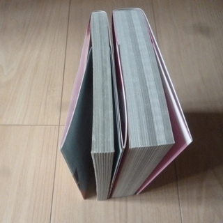 別冊マーガレット おまけ本の画像