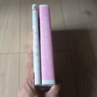 別冊マーガレット おまけ本の画像