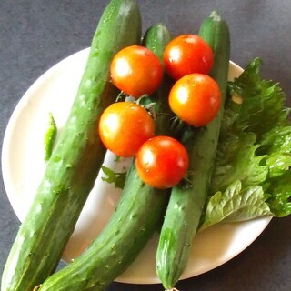 朝採りの胡瓜（７/10の朝収穫）