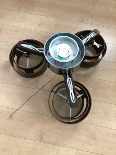 照明。電球なし