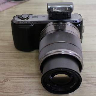 SONY NEX-3Cの画像
