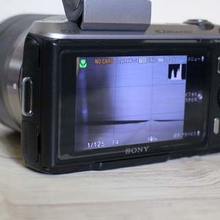 SONY NEX-3Cの画像