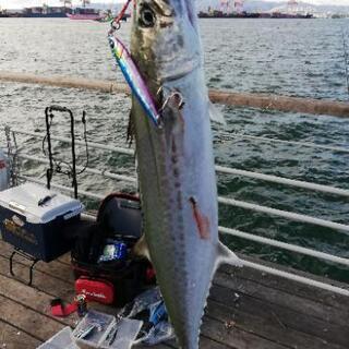釣り仲間募集中です。
