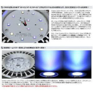 ボルクスジャパン　Ｇｒａｓｓｙ　ＬｅＤｉｏ　ＲＸ１２２　Ｒｅｅｆ／リーフ 値下げ中！の画像