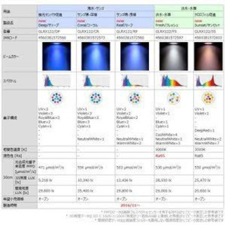ボルクスジャパン　Ｇｒａｓｓｙ　ＬｅＤｉｏ　ＲＸ１２２　Ｒｅｅｆ／リーフ 値下げ中！の画像