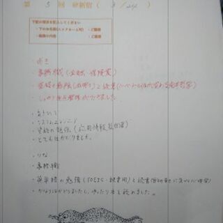勉強・読書仲間を募集中(令和元年7月13日) - 友達