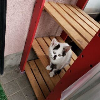 家族にしてください。