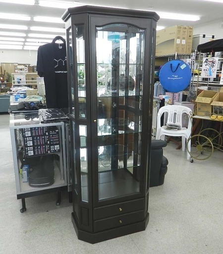 フラットキュリオケース コレクションボード 飾り棚 ダークブラウン  ☆ PayPay(ペイペイ)決済可能 ☆ 札幌市 北区 屯田