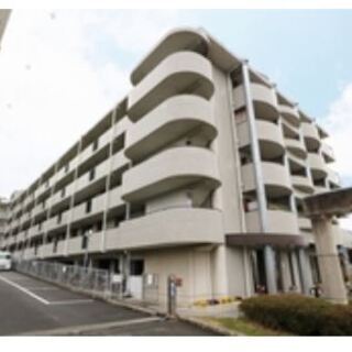 ★ファミティ滝谷304  家具・小物・レースカーテン・照明付き★の画像